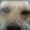 Izyzdeez's icon