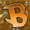 Baylerrrr's icon