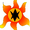SunlightSP's icon
