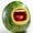 Watermelon-Enjoyer's icon