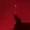 zodiac12321's icon