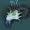 Fatchaos's icon