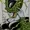 benturkum123's icon