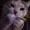 H3ckee's icon