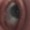 Gromitgetthecheese's icon