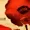 memslash09's icon
