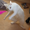 Utxfkchjfthvl's icon