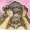 DelRaakshi's icon