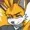 shadic117's icon