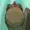 Leonepride's icon