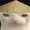 Webosxdxd777's icon