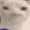 FreshlyDeliveredLad's icon