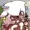 SamuelOffline's icon