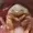 antilex202's icon