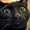 NightmareNWR's icon