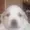 ftualvr69's icon