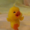 DuckG0Quack's icon