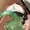 Kuramishi's icon