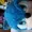 Danteem's icon