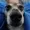 scrapfuntime2's icon