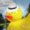 DuckterStRm's icon