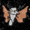 MothL1ght's icon