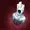 Aquatarr's icon