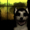 AganstAgain's icon