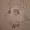 Hericium's icon