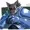 SOHusky's icon