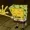 reachblol's icon