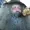 redneckjohn's icon