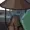 D4ISIES's icon