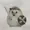 Zein6's icon