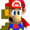 THEREALSUPERMARIOFAN's icon