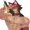 TrickStarSett's icon