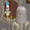 sillysocks's icon