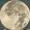 0Mangos1's icon