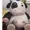 HenryEmily83's icon
