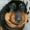 Somedoberman's icon