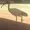 Slapmysack666's icon