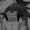 Unknownlocalgoth's icon