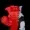 Carlnpc's icon