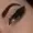 yomumsass's icon
