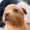SideInsane's icon