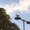 Bird-On-Lamppost's icon