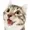 Shoterfox6's icon