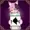 Yostalor2007's icon