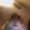 Felipe100046's icon