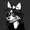 knifecollie's icon